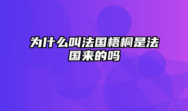 为什么叫法国梧桐是法国来的吗