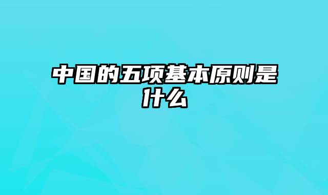 中国的五项基本原则是什么