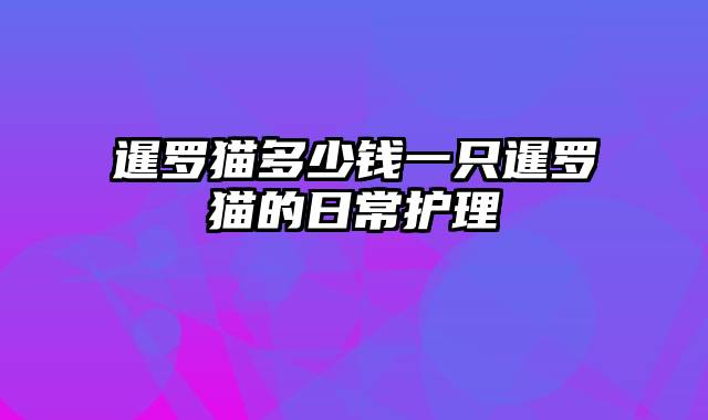 暹罗猫多少钱一只暹罗猫的日常护理