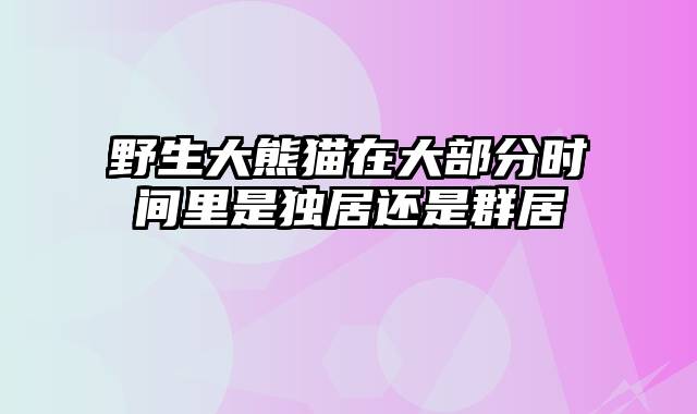 野生大熊猫在大部分时间里是独居还是群居