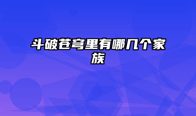 斗破苍穹里有哪几个家族