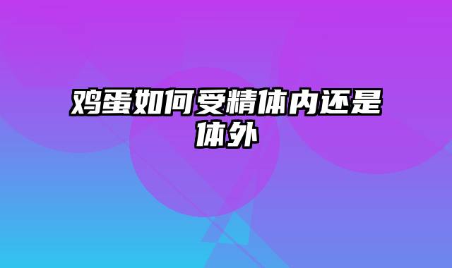 鸡蛋如何受精体内还是体外