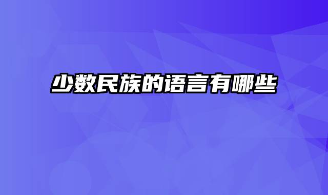 少数民族的语言有哪些