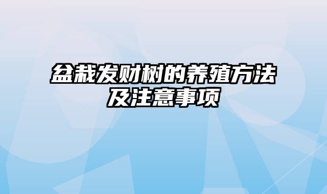 盆栽发财树的养殖方法及注意事项