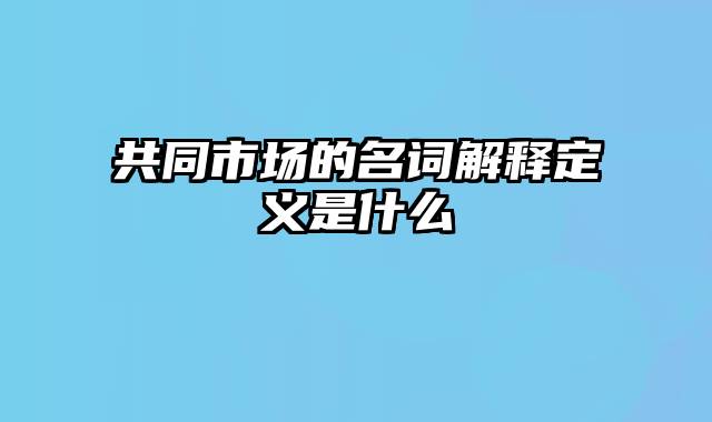 共同市场的名词解释定义是什么