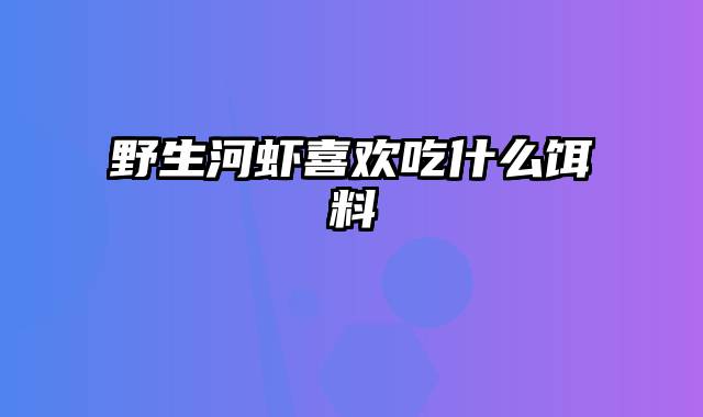 野生河虾喜欢吃什么饵料