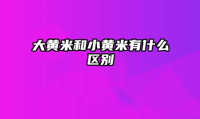 大黄米和小黄米有什么区别