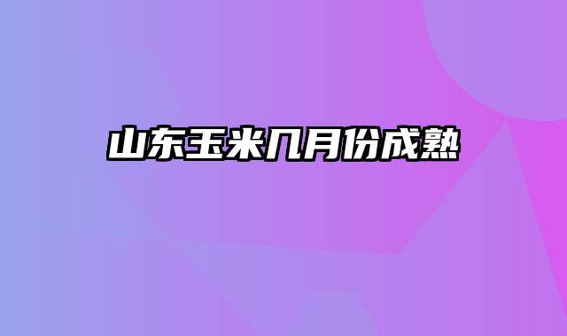 山东玉米几月份成熟