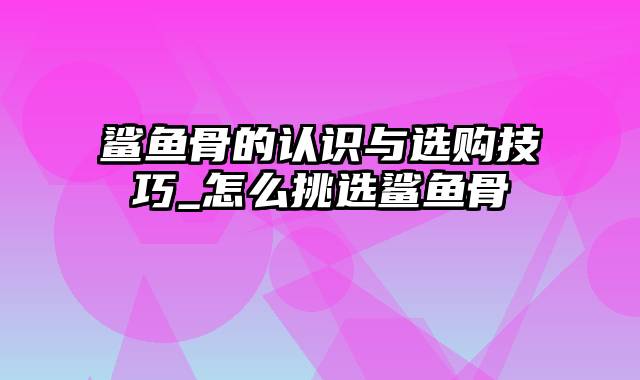 鲨鱼骨的认识与选购技巧_怎么挑选鲨鱼骨