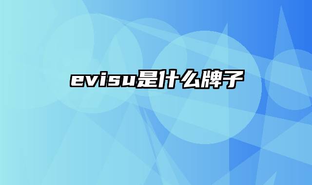 evisu是什么牌子