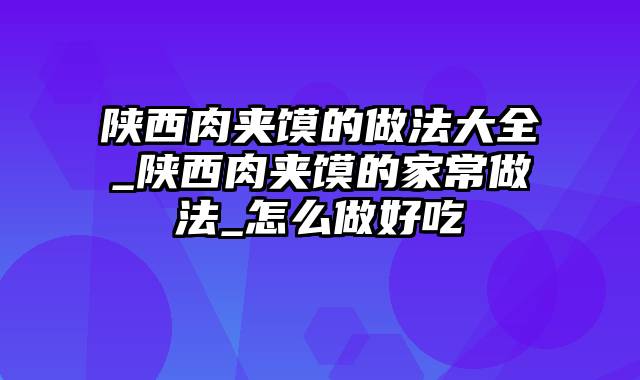 陕西肉夹馍的做法大全_陕西肉夹馍的家常做法_怎么做好吃