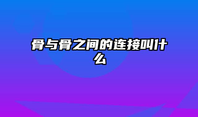 骨与骨之间的连接叫什么