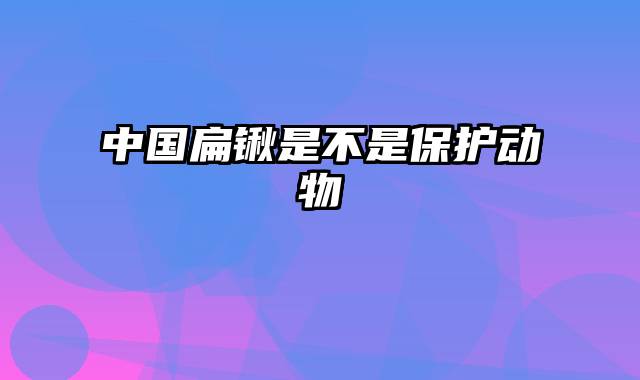 中国扁锹是不是保护动物