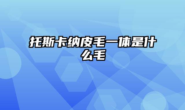 托斯卡纳皮毛一体是什么毛