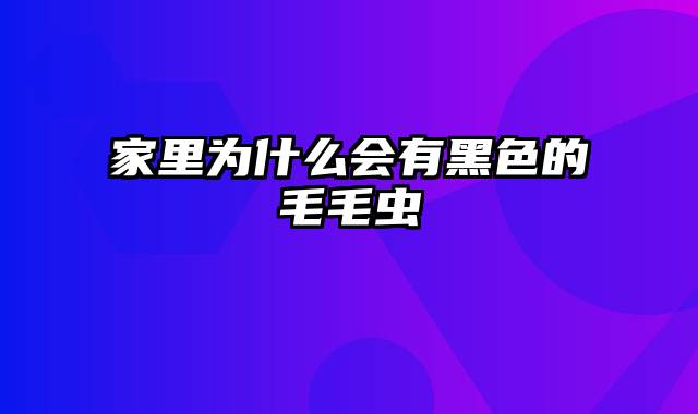 家里为什么会有黑色的毛毛虫