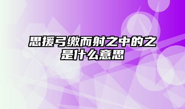 思援弓缴而射之中的之是什么意思