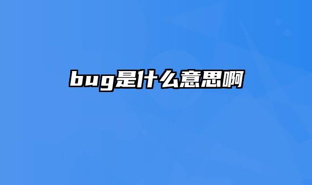 bug是什么意思啊