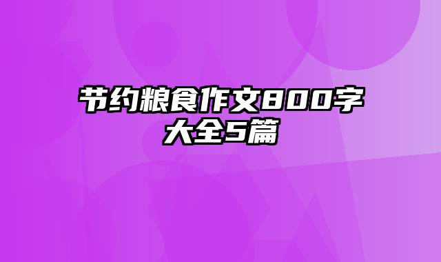 节约粮食作文800字大全5篇