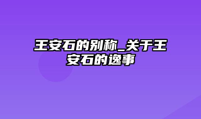 王安石的别称_关于王安石的逸事