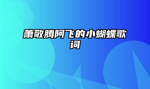 萧敬腾阿飞的小蝴蝶歌词