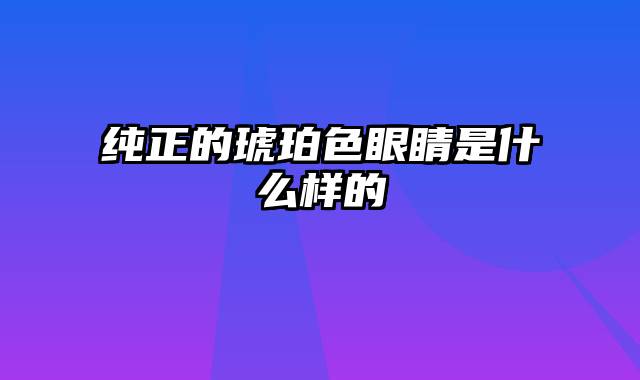 纯正的琥珀色眼睛是什么样的