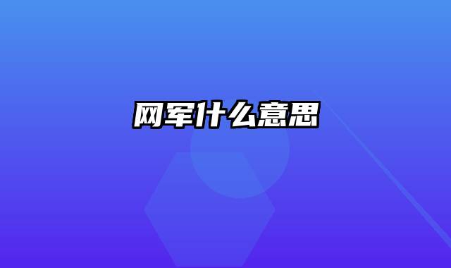 网军什么意思