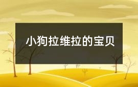 小狗拉维拉的宝贝