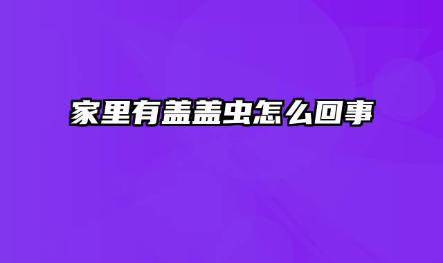 家里有盖盖虫怎么回事