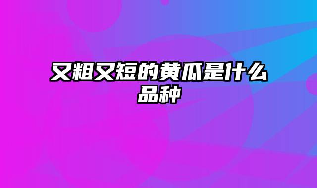 又粗又短的黄瓜是什么品种