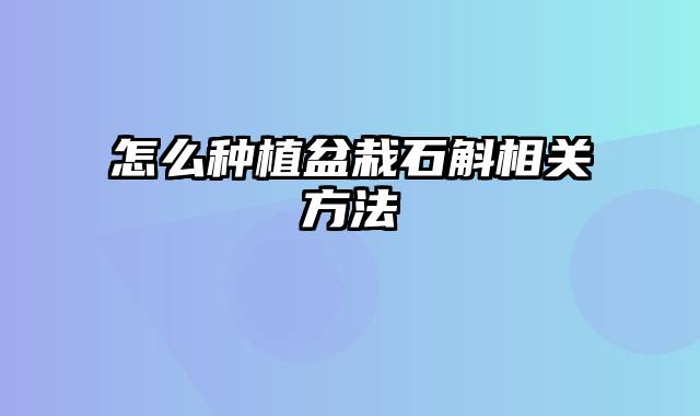 怎么种植盆栽石斛相关方法