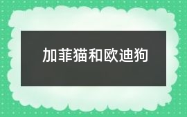 加菲猫和欧迪狗