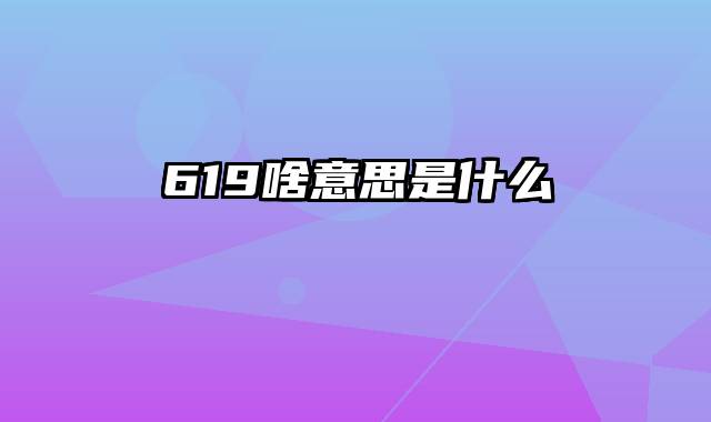 619啥意思是什么