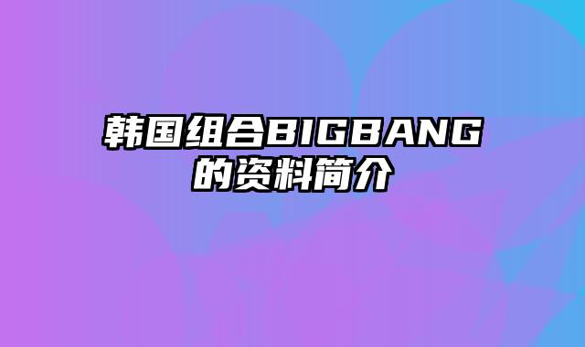 韩国组合BIGBANG的资料简介