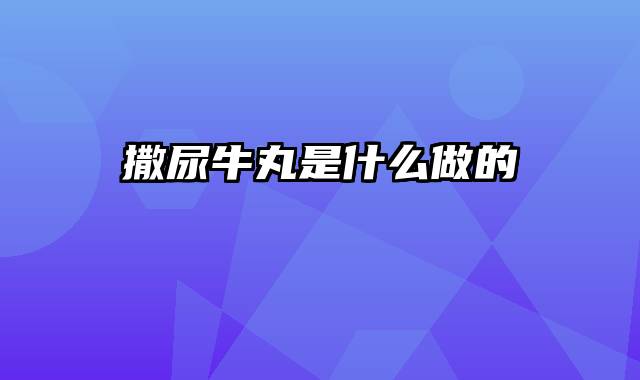 撒尿牛丸是什么做的