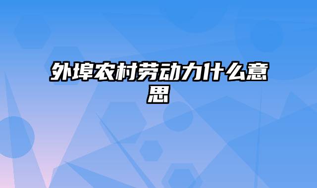 外埠农村劳动力什么意思