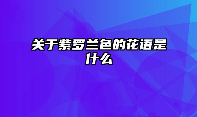 关于紫罗兰色的花语是什么