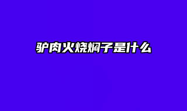 驴肉火烧焖子是什么