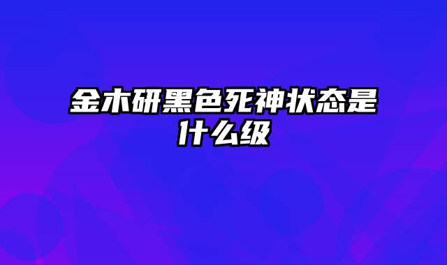 金木研黑色死神状态是什么级