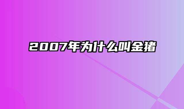 2007年为什么叫金猪