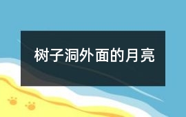 树子洞外面的月亮