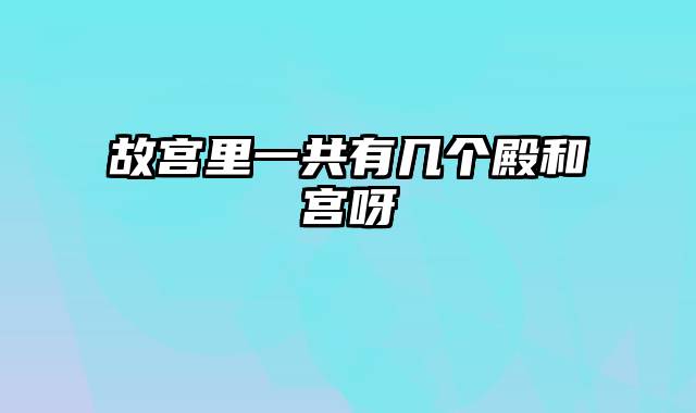 故宫里一共有几个殿和宫呀