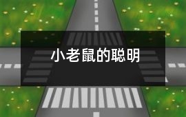 小老鼠的聪明
