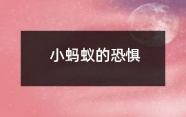 小蚂蚁的恐惧