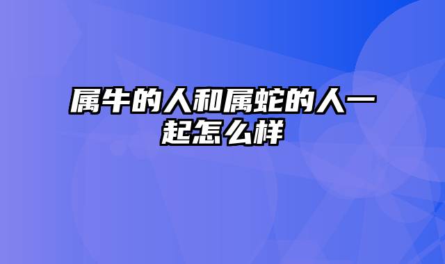 属牛的人和属蛇的人一起怎么样