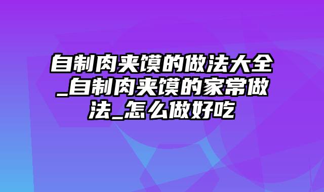 自制肉夹馍的做法大全_自制肉夹馍的家常做法_怎么做好吃