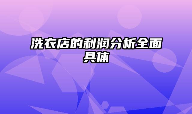 洗衣店的利润分析全面具体