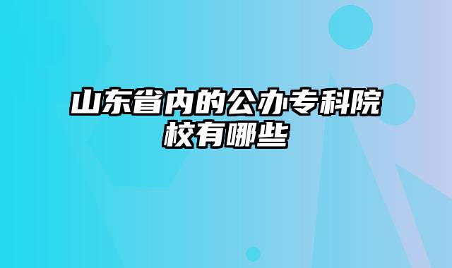 山东省内的公办专科院校有哪些