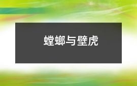 螳螂与壁虎