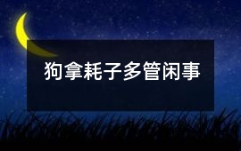 狗拿耗子多管闲事