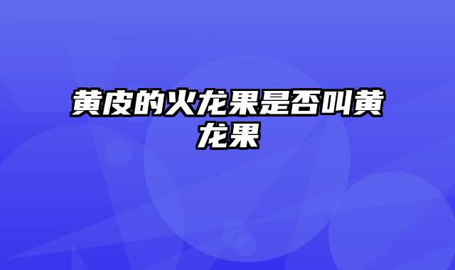 黄皮的火龙果是否叫黄龙果